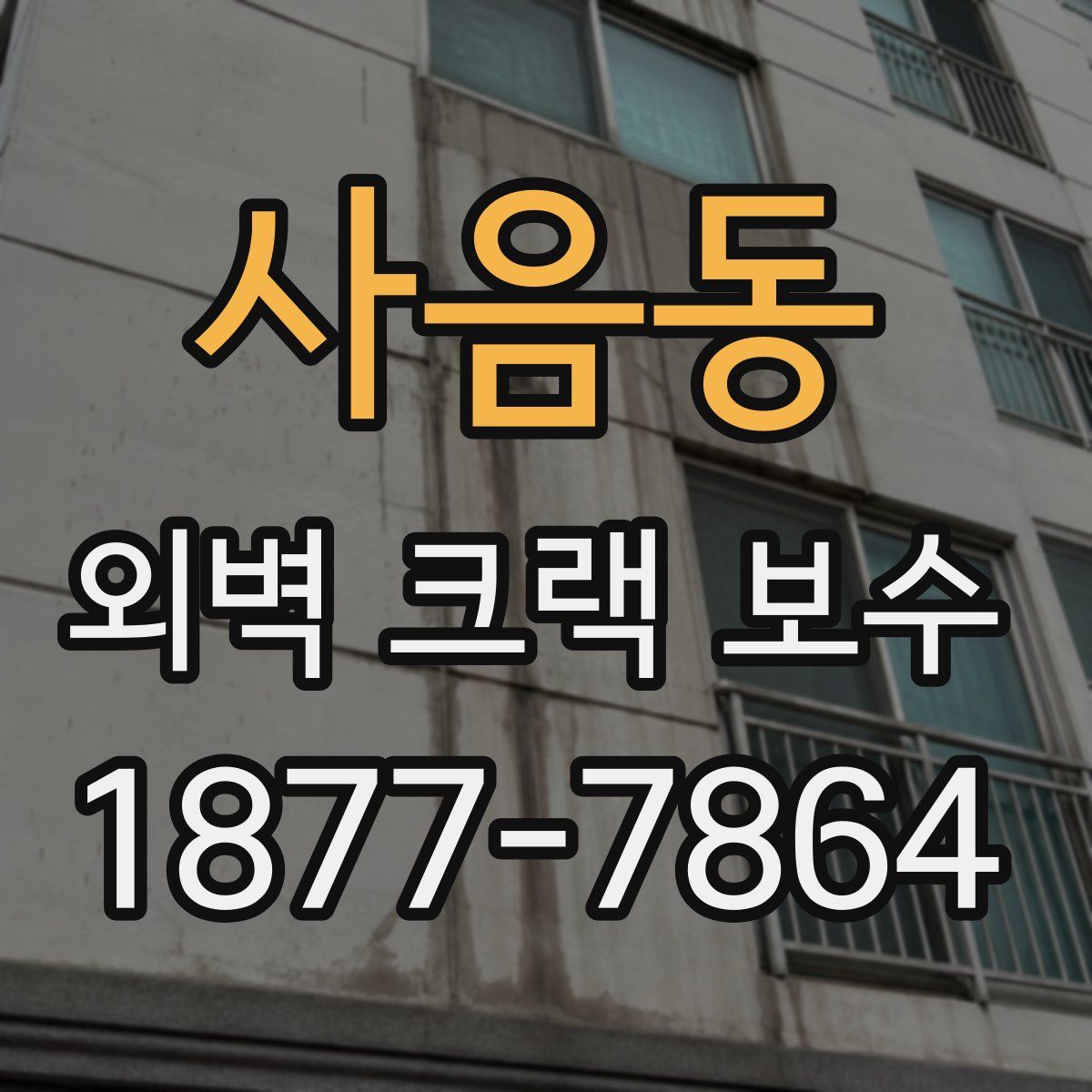 사음동 외벽 크랙 보수