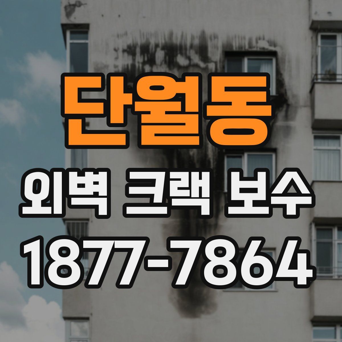단월동 외벽 크랙 보수
