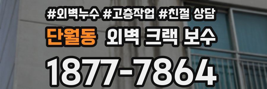 단월동 외벽 크랙 보수