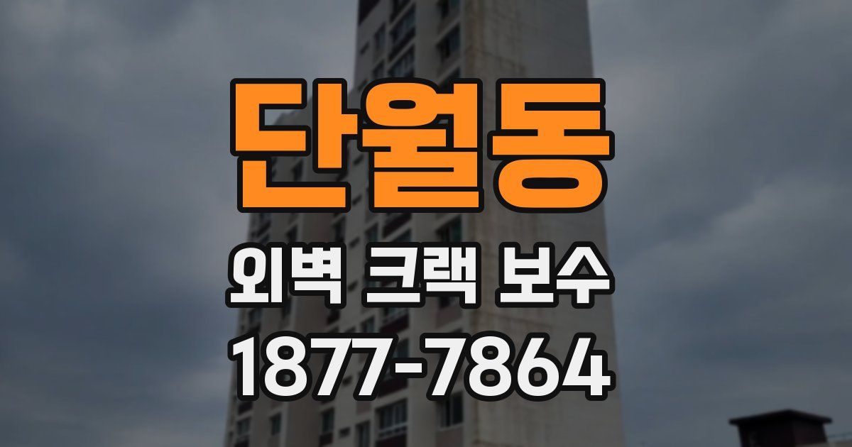 단월동 외벽 크랙 보수
