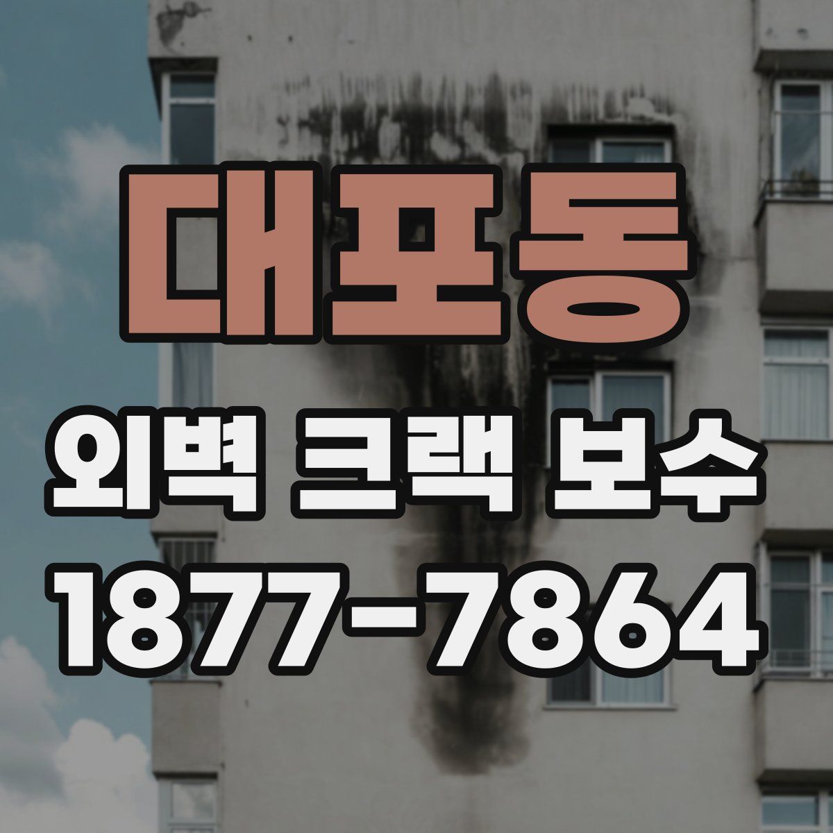 대포동 외벽 크랙 보수