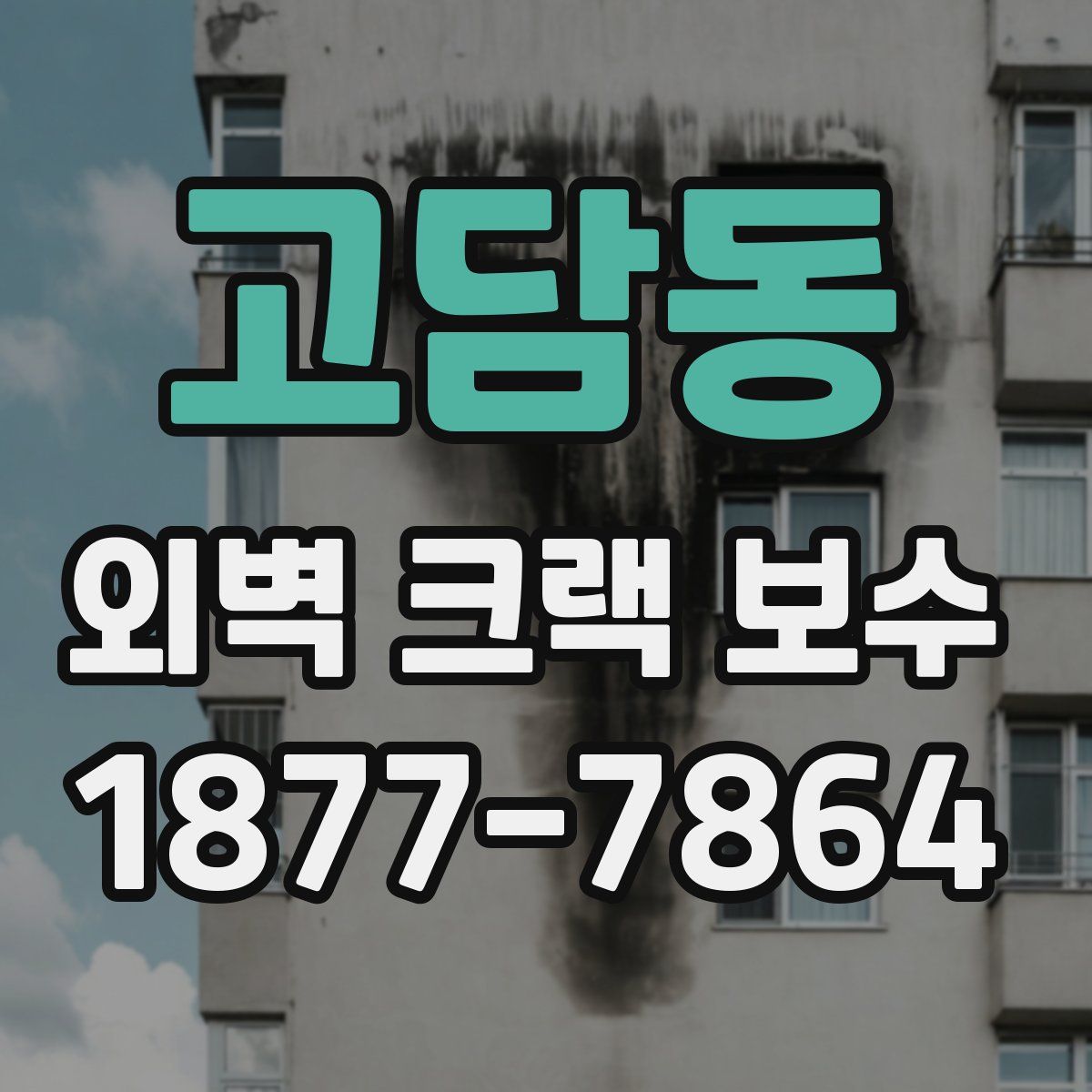 고담동 외벽 크랙 보수