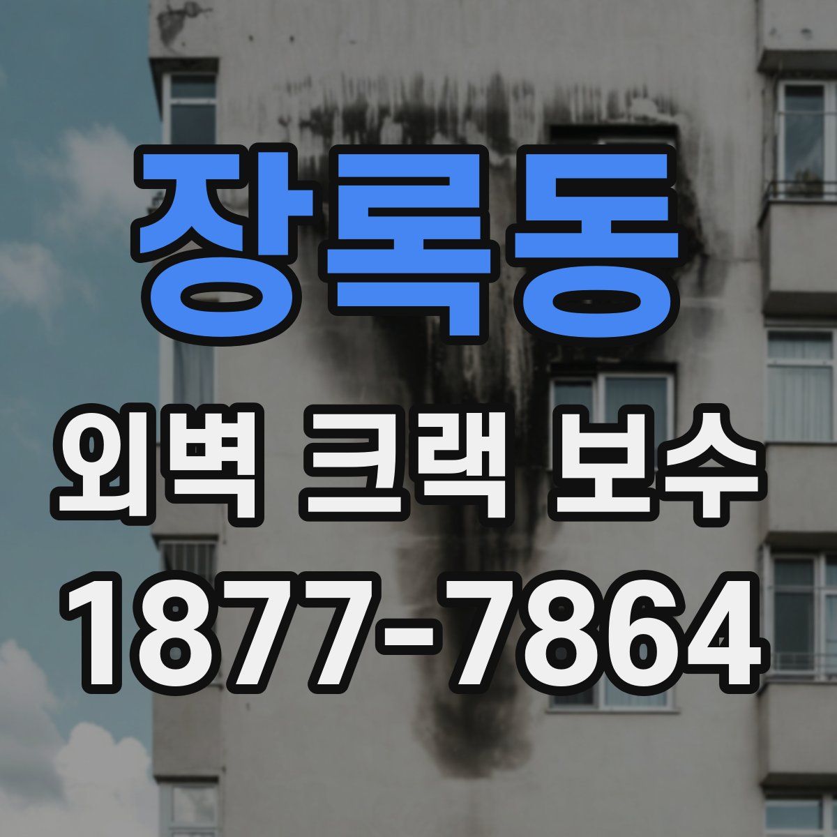 장록동 외벽 크랙 보수