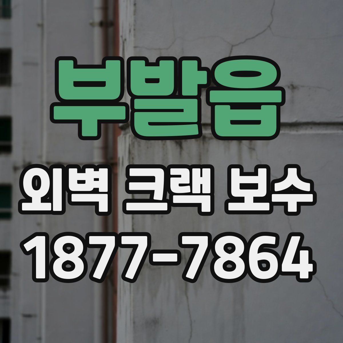 부발읍 외벽 크랙 보수
