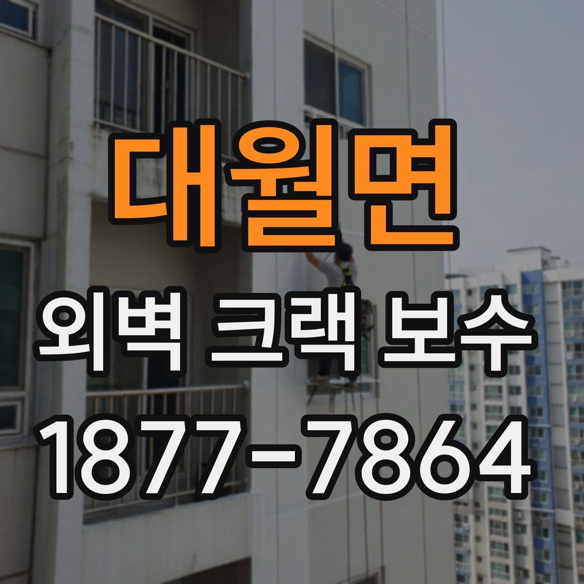 대월면 외벽 크랙 보수