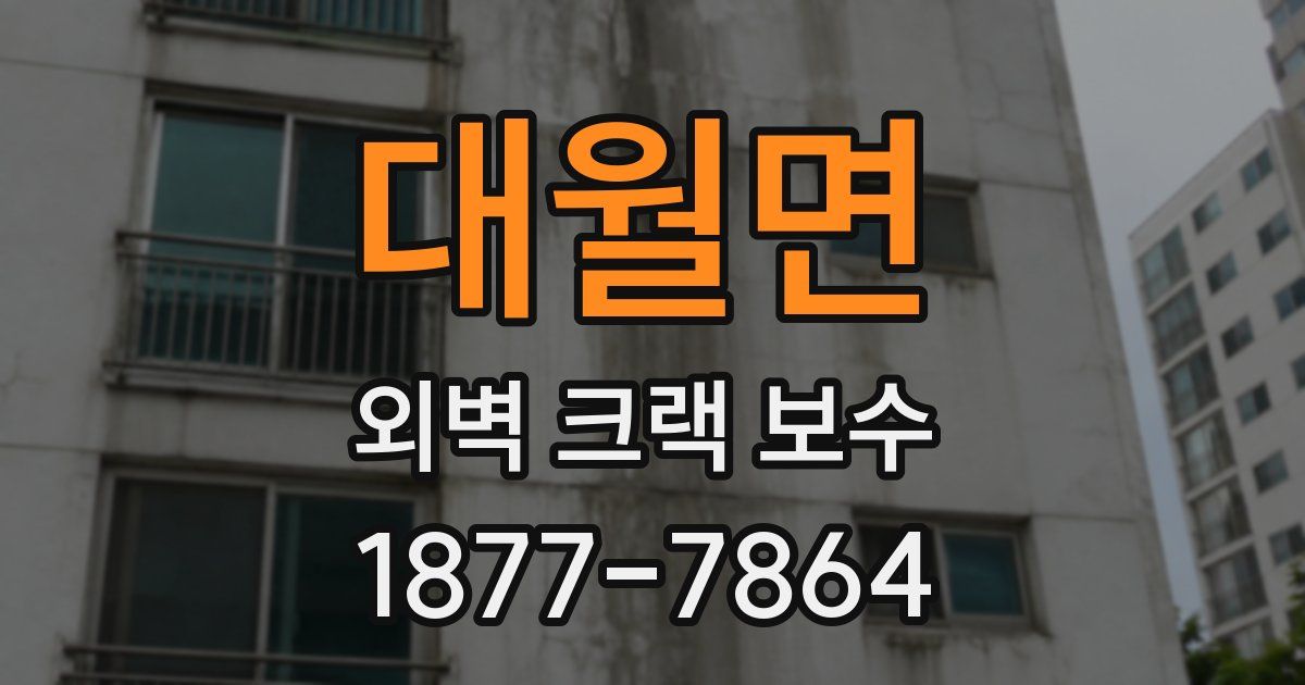 대월면 외벽 크랙 보수