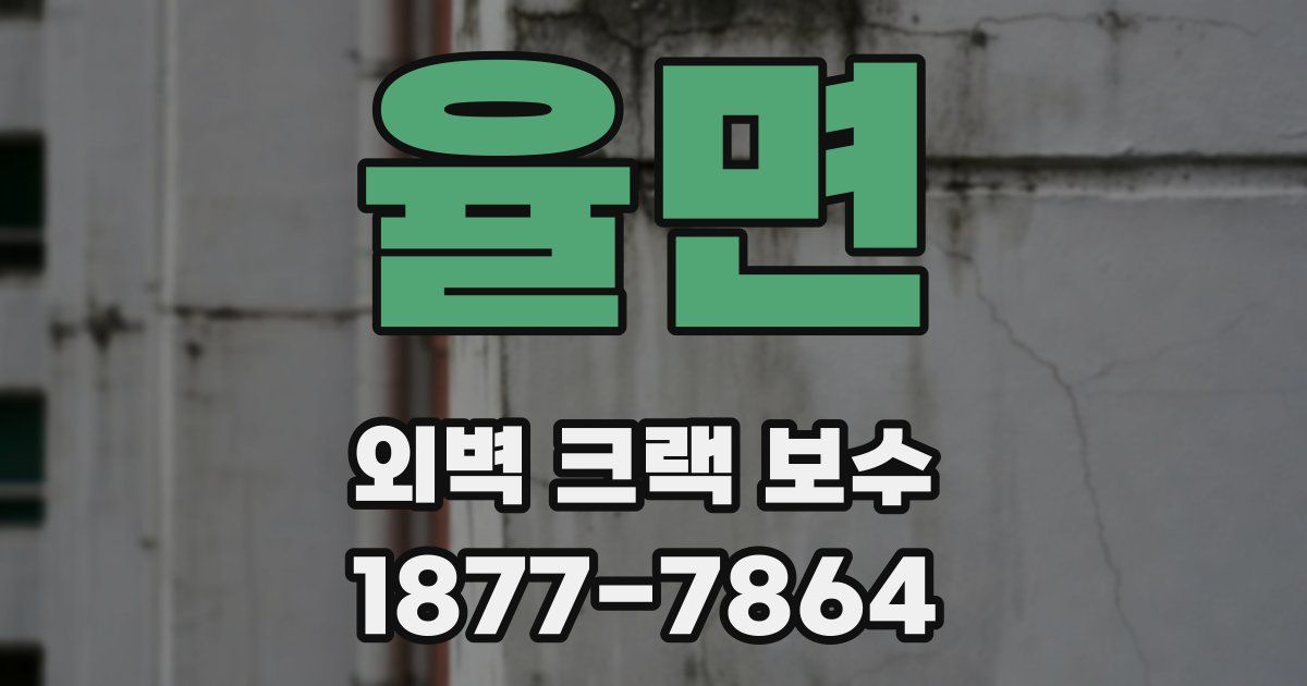 율면 외벽 크랙 보수