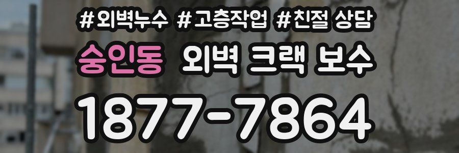 숭인동 외벽 크랙 보수