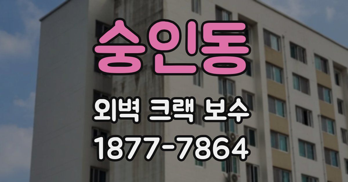 숭인동 외벽 크랙 보수