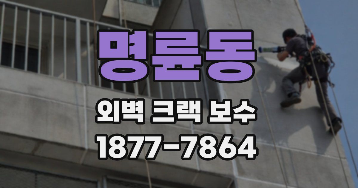 명륜동 외벽 크랙 보수