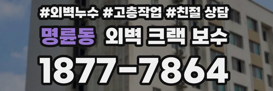 명륜동 외벽 크랙 보수
