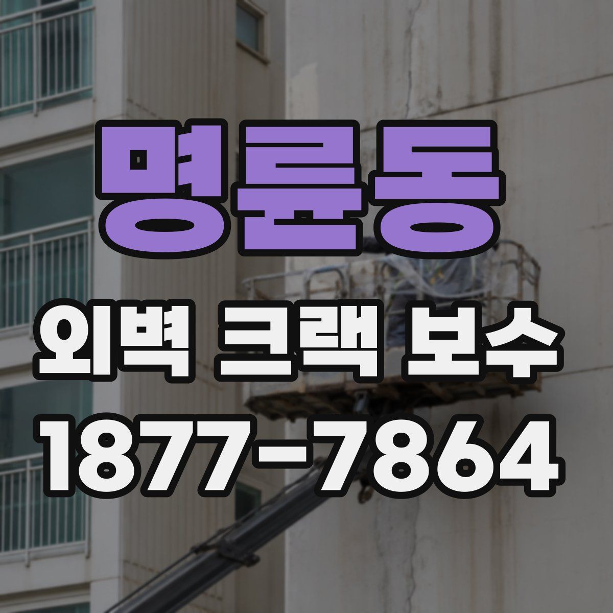 명륜동 외벽 크랙 보수