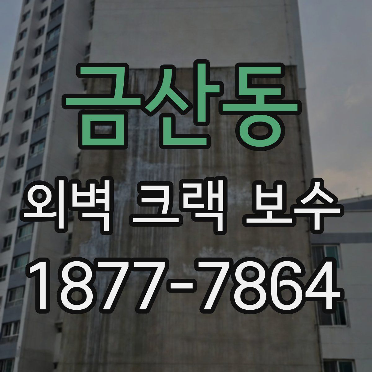 금산동 외벽 크랙 보수