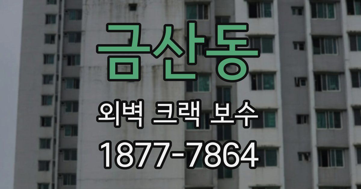 금산동 외벽 크랙 보수