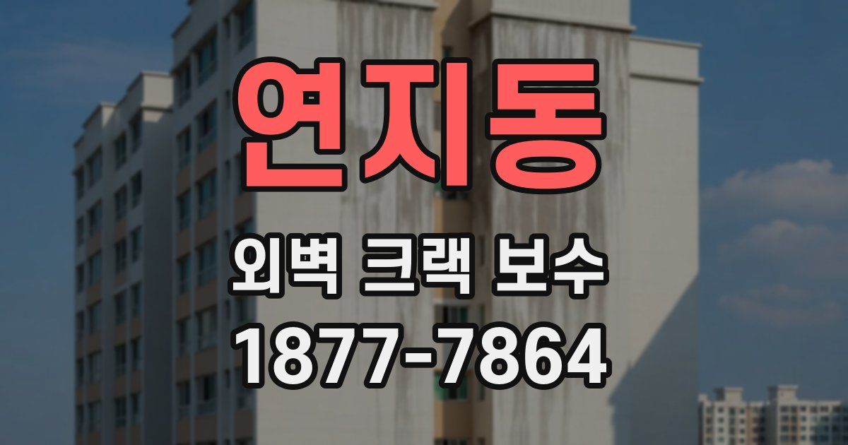 연지동 외벽 크랙 보수