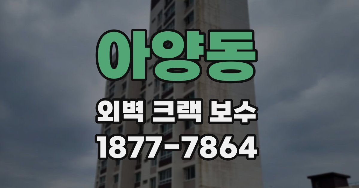아양동 외벽 크랙 보수