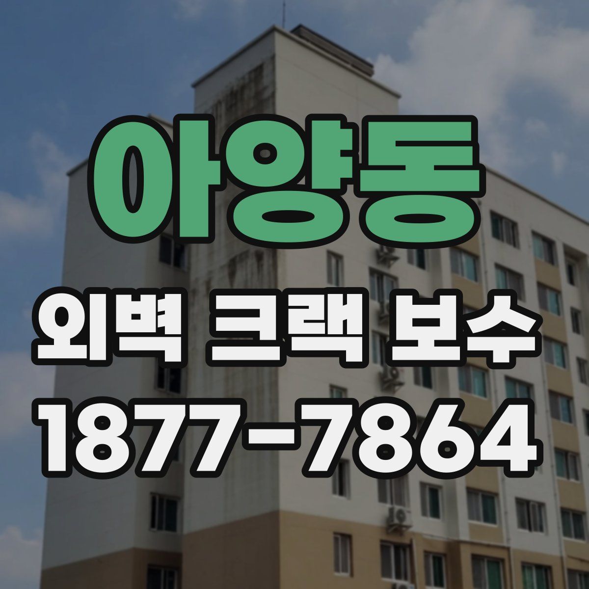 아양동 외벽 크랙 보수