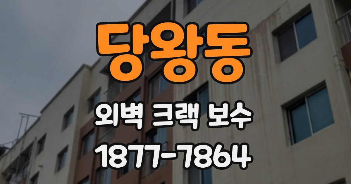 당왕동 외벽 크랙 보수