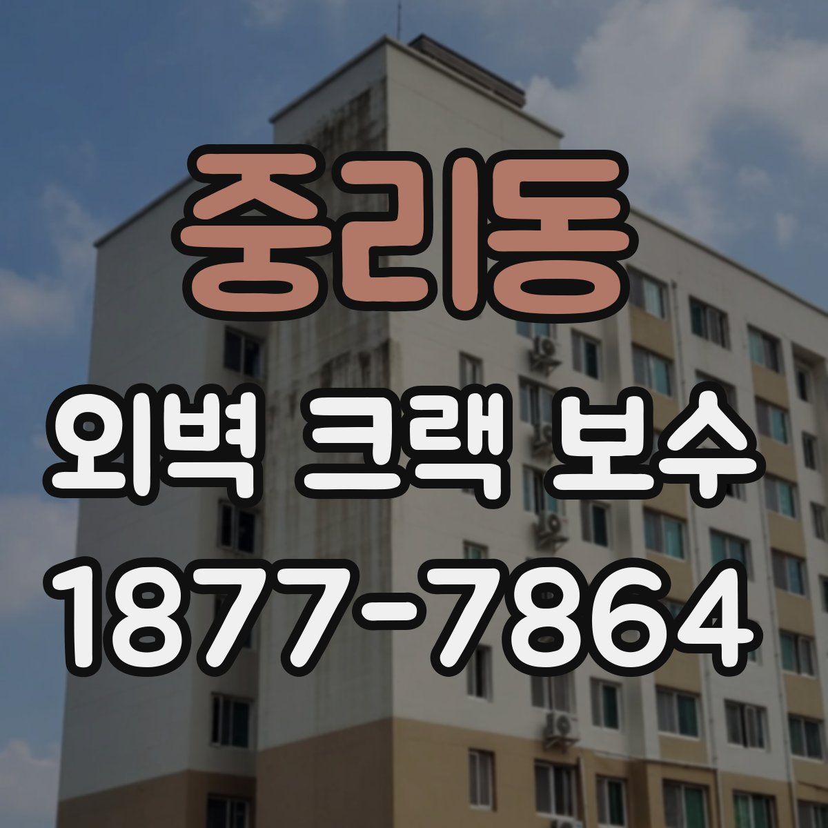 중리동 외벽 크랙 보수