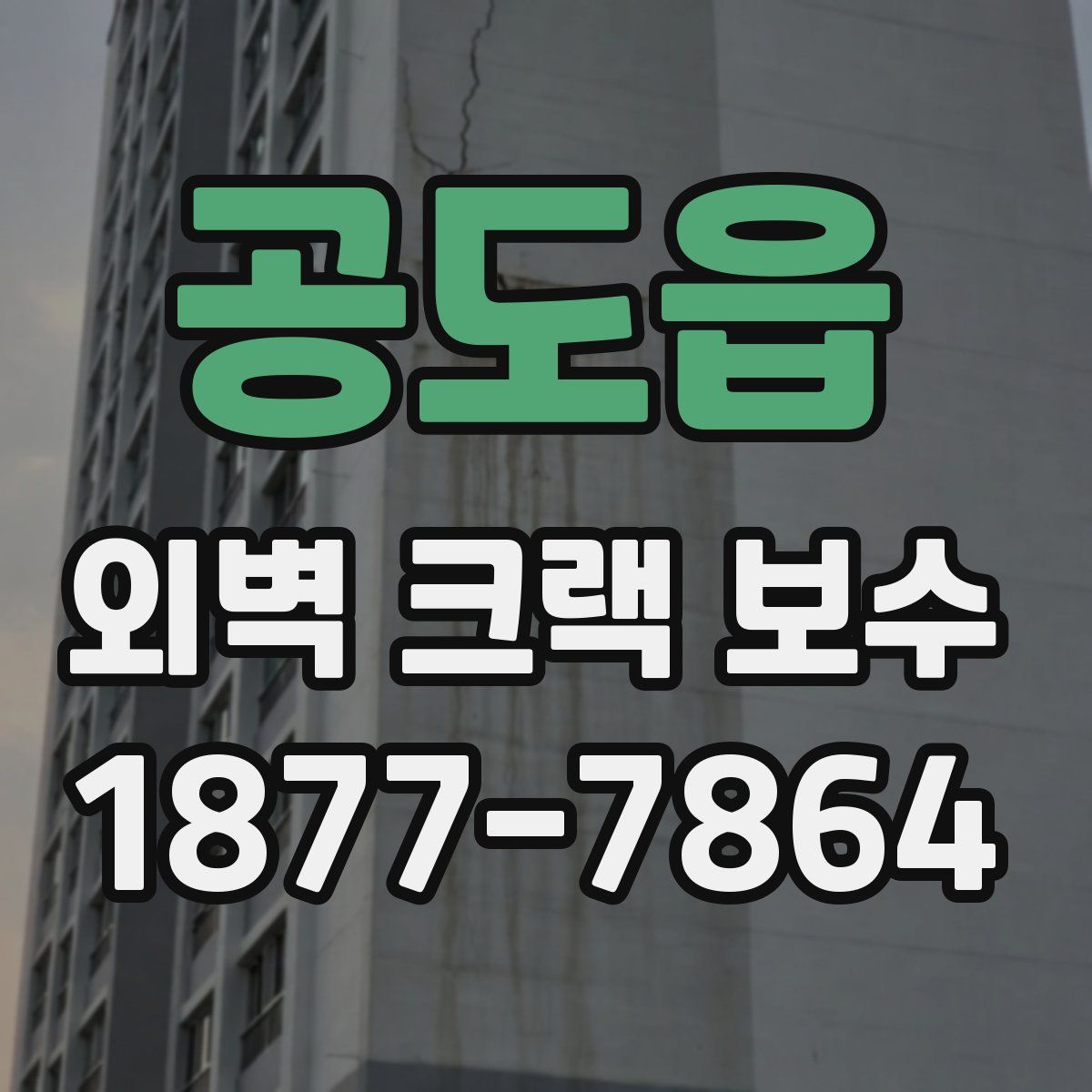 공도읍 외벽 크랙 보수