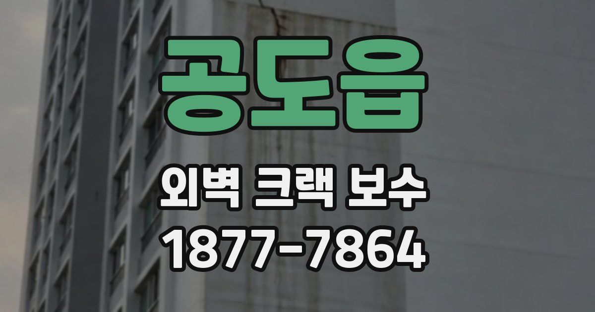 공도읍 외벽 크랙 보수