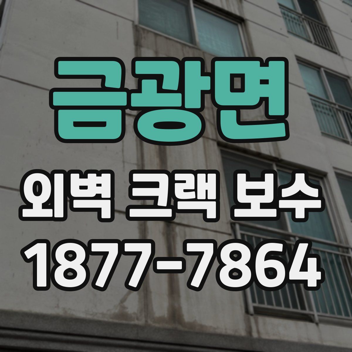 금광면 외벽 크랙 보수