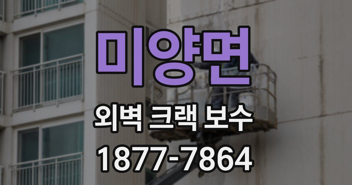 미양면 외벽 크랙 보수