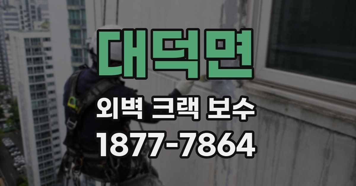 대덕면 외벽 크랙 보수