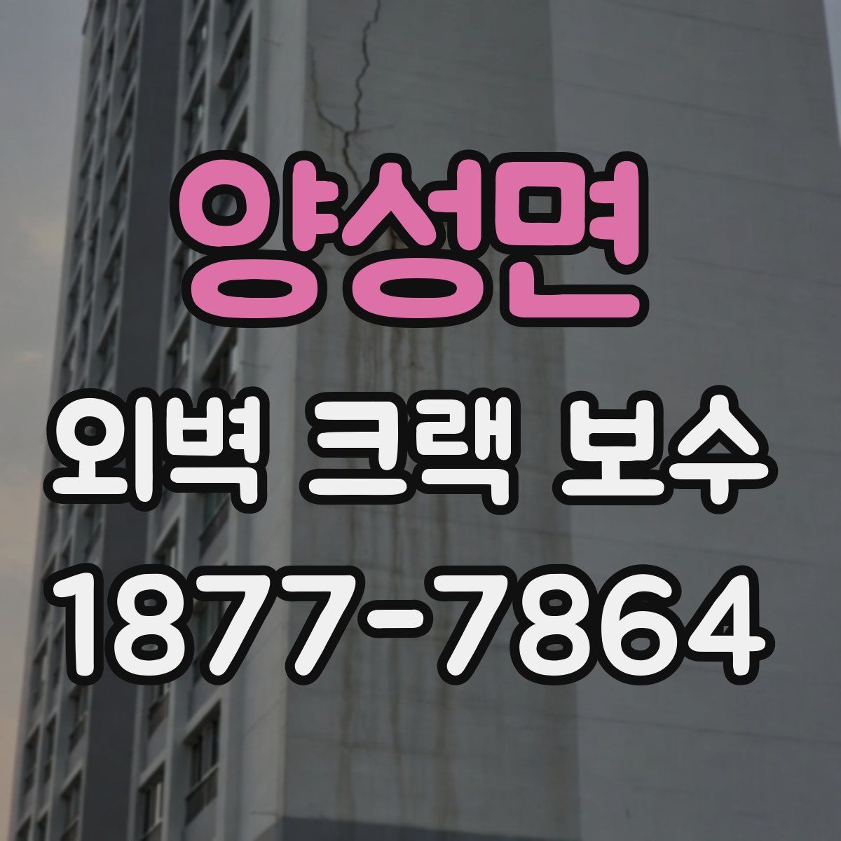 양성면 외벽 크랙 보수