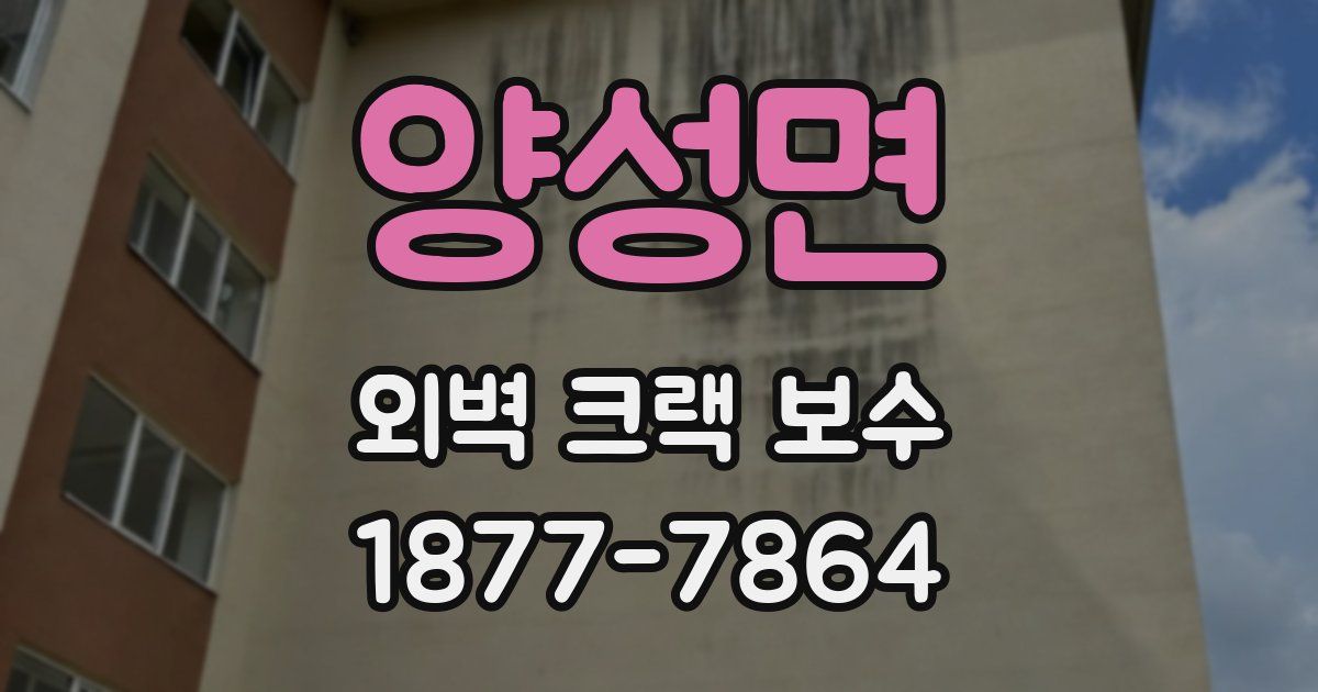 양성면 외벽 크랙 보수