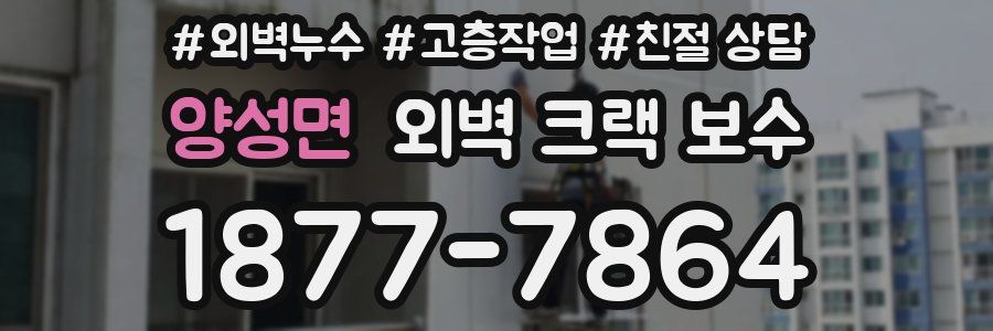 양성면 외벽 크랙 보수