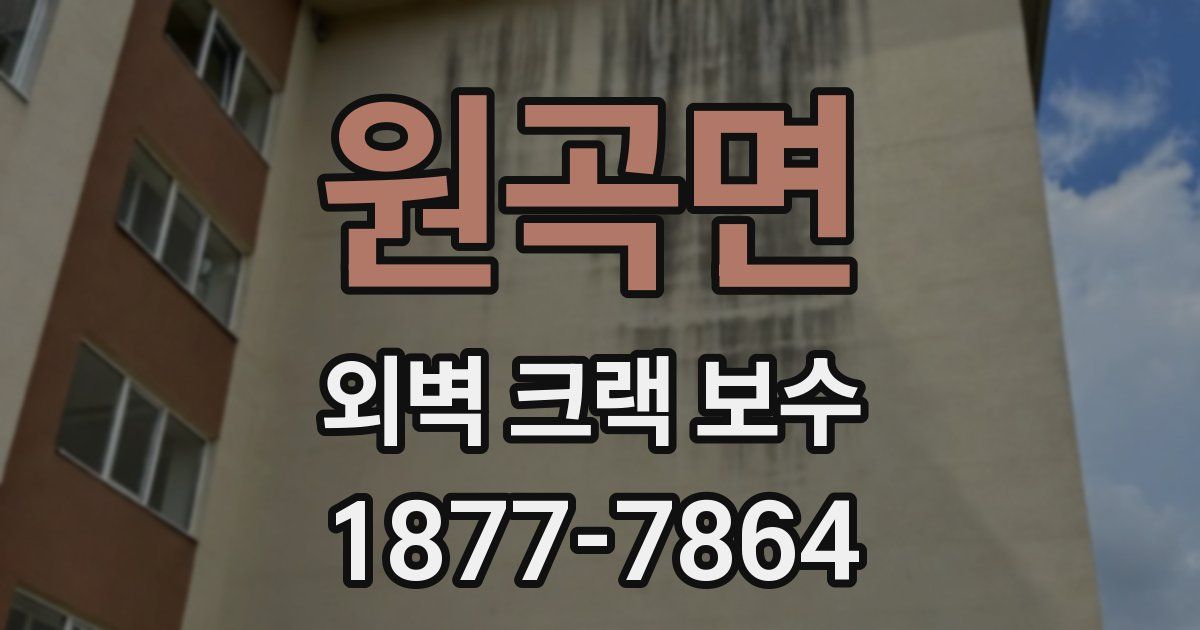 원곡면 외벽 크랙 보수