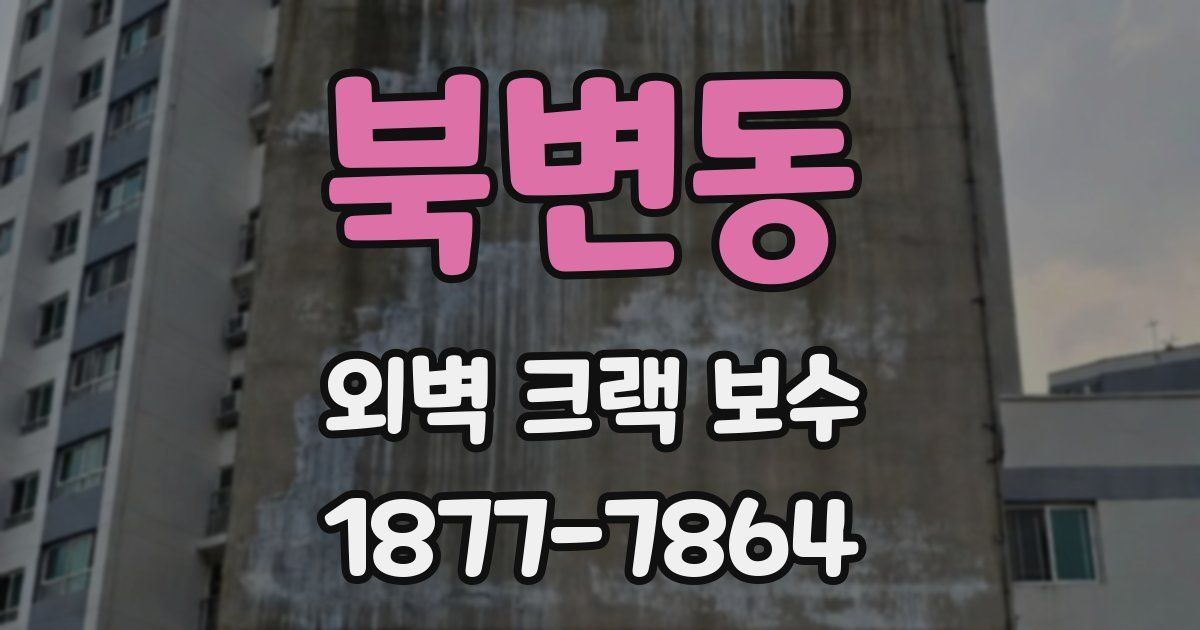 북변동 외벽 크랙 보수