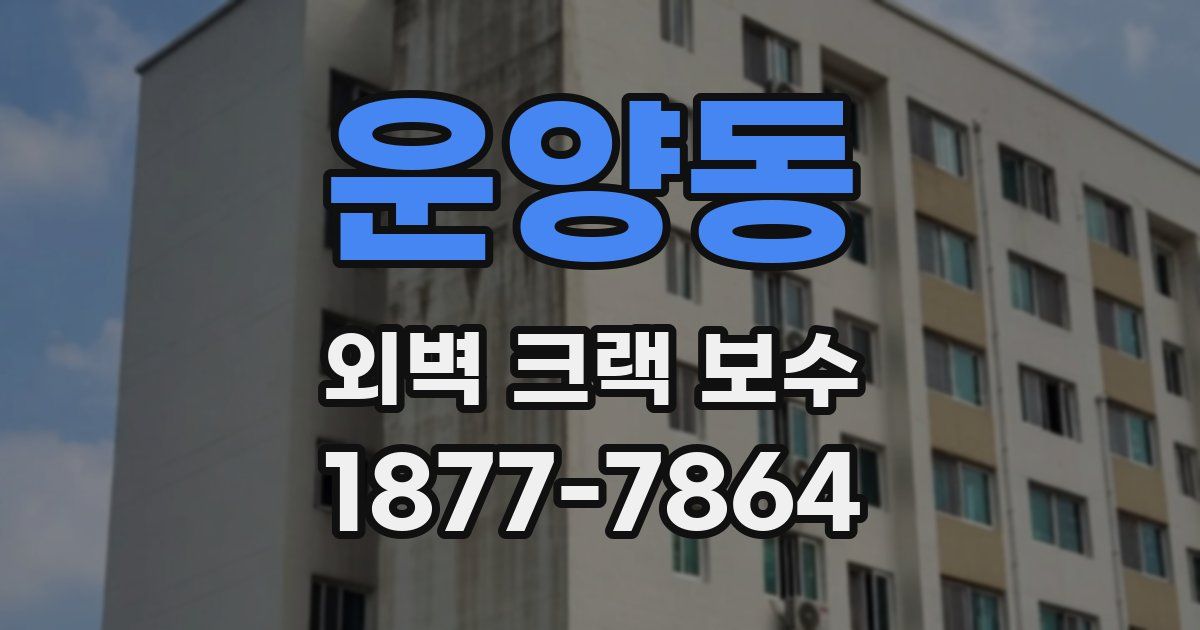 운양동 외벽 크랙 보수