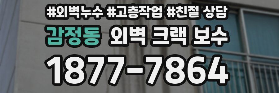 감정동 외벽 크랙 보수