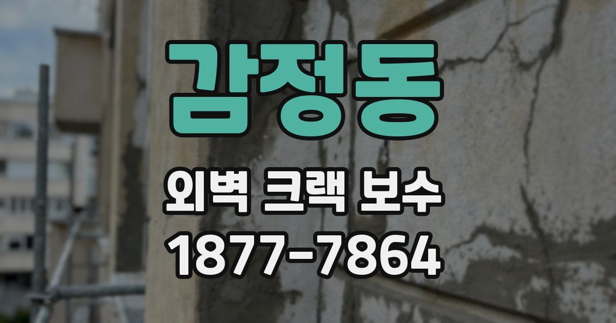 감정동 외벽 크랙 보수