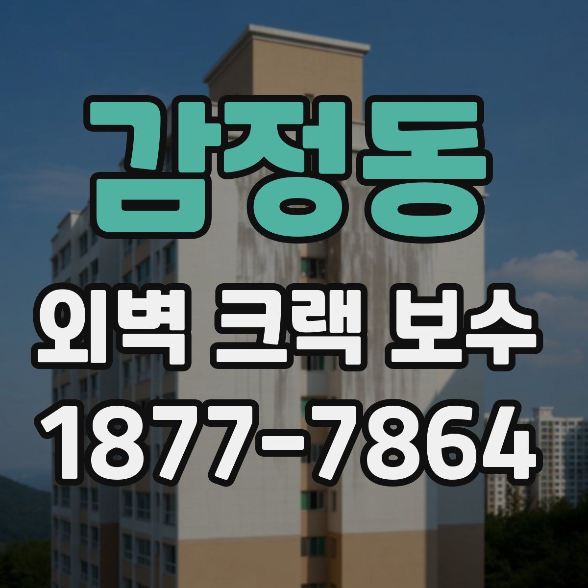 감정동 외벽 크랙 보수