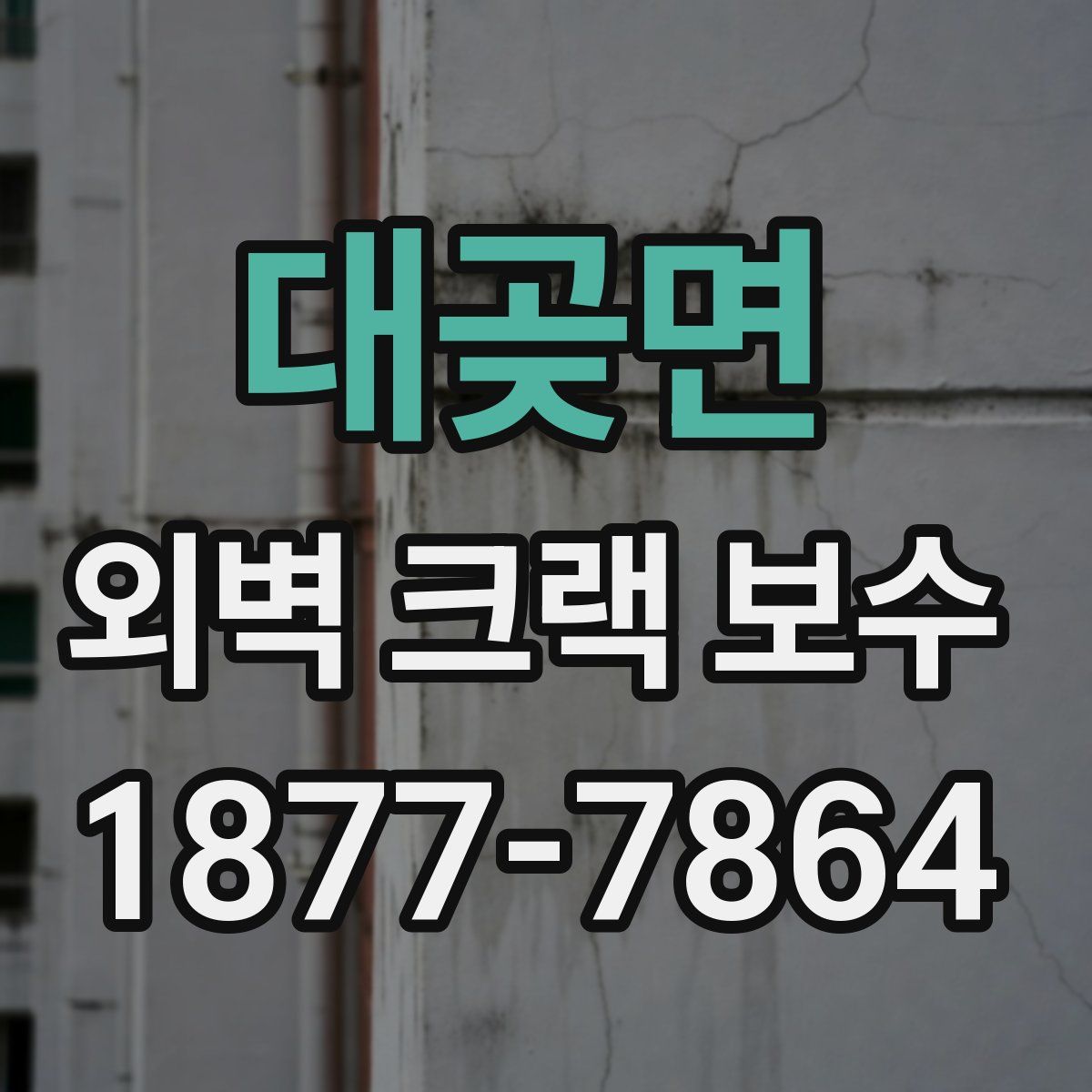 대곶면 외벽 크랙 보수
