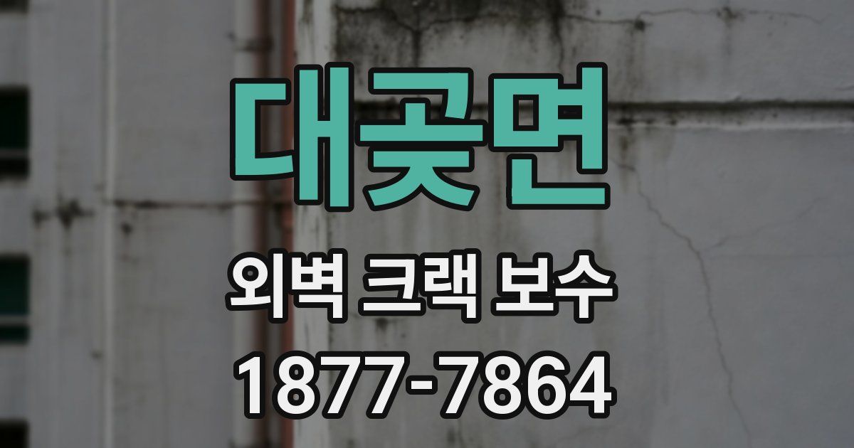 대곶면 외벽 크랙 보수