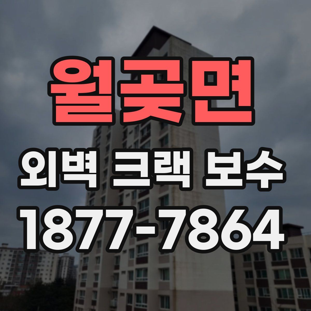 월곶면 외벽 크랙 보수