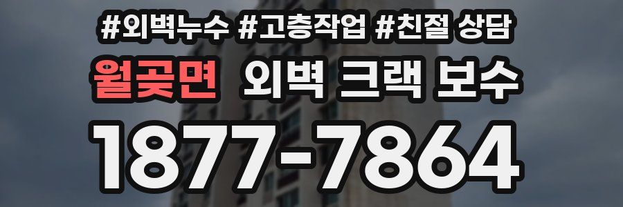 월곶면 외벽 크랙 보수