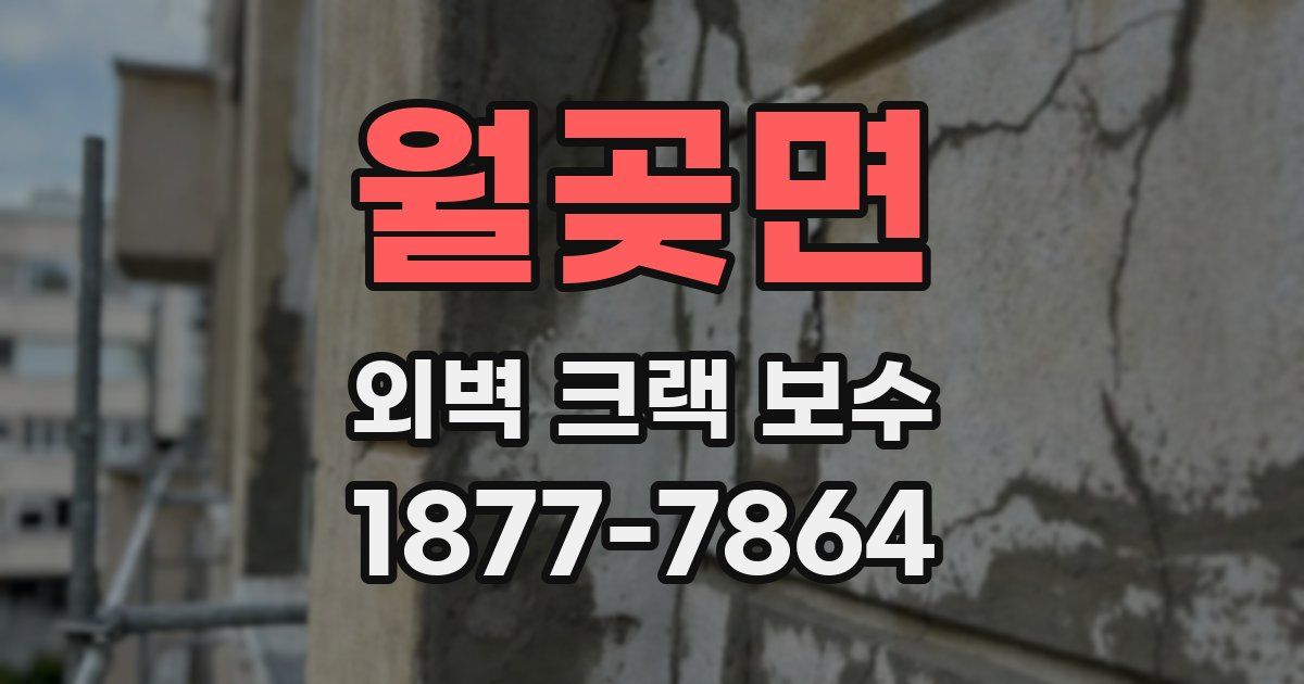 월곶면 외벽 크랙 보수