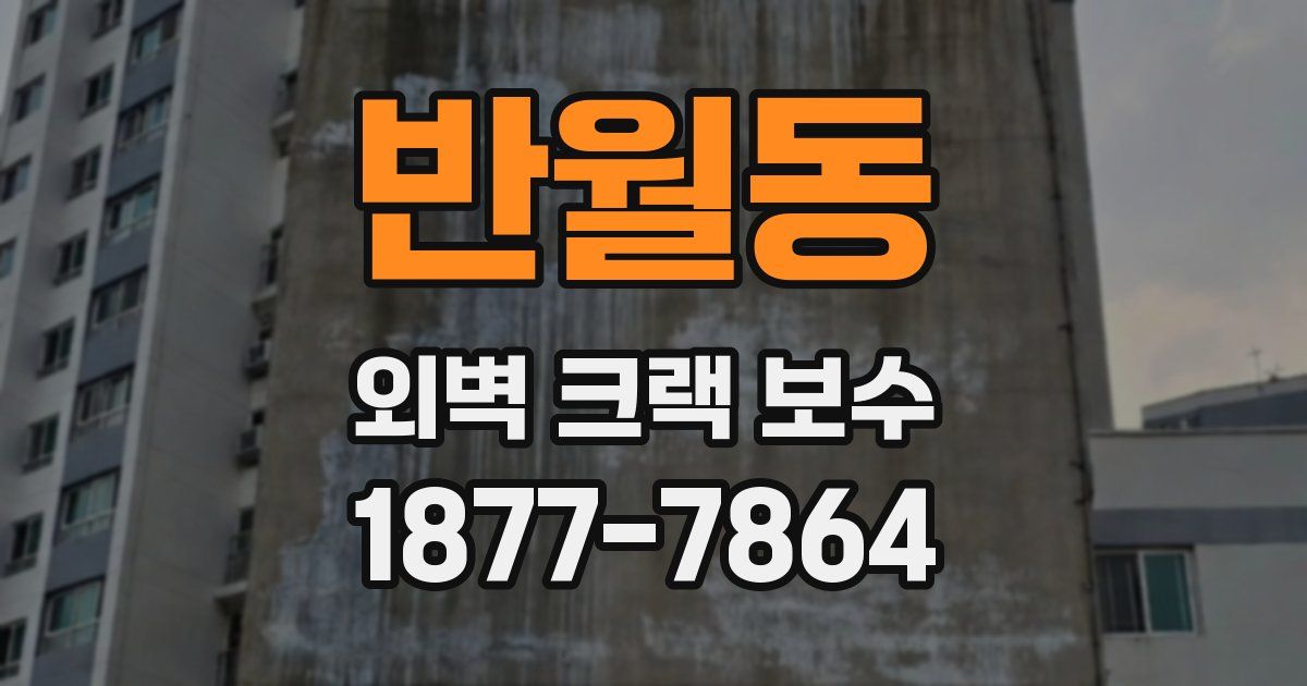 반월동 외벽 크랙 보수