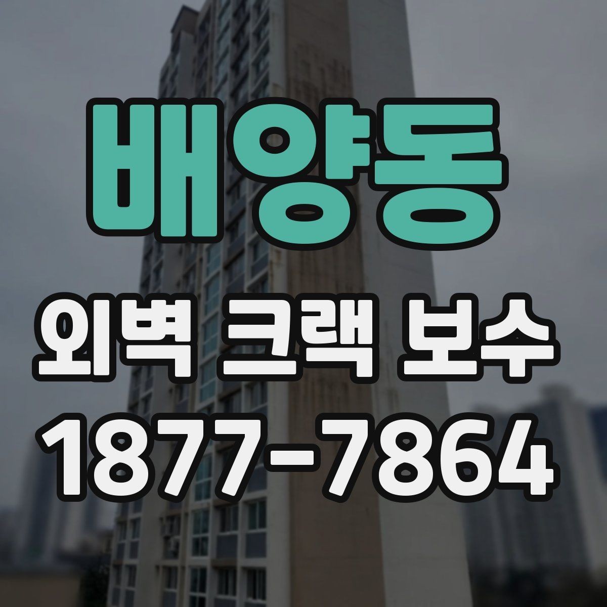 배양동 외벽 크랙 보수 전후 달라지는 점 확인하기