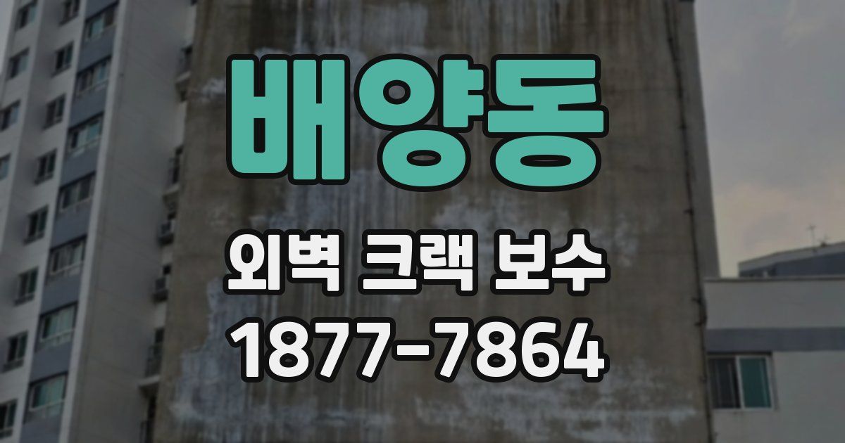 배양동 외벽 크랙 보수