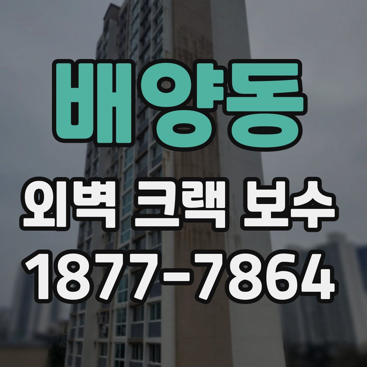 배양동 외벽 크랙 보수