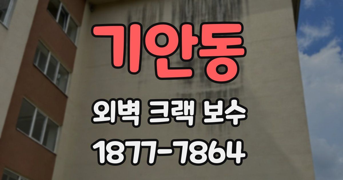 기안동 외벽 크랙 보수