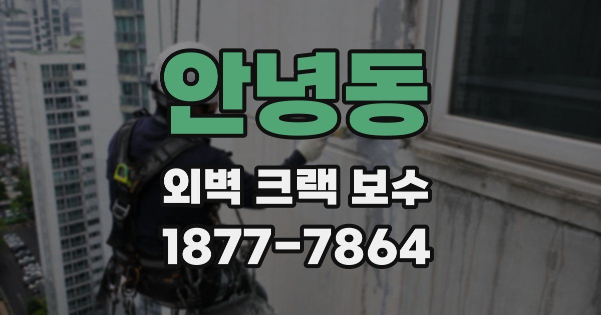 안녕동 외벽 크랙 보수