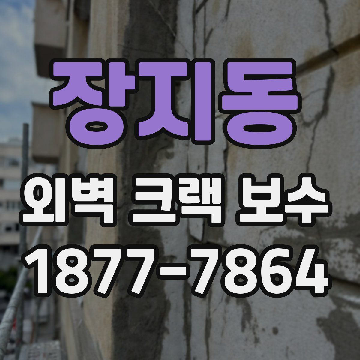 장지동 외벽 크랙 보수