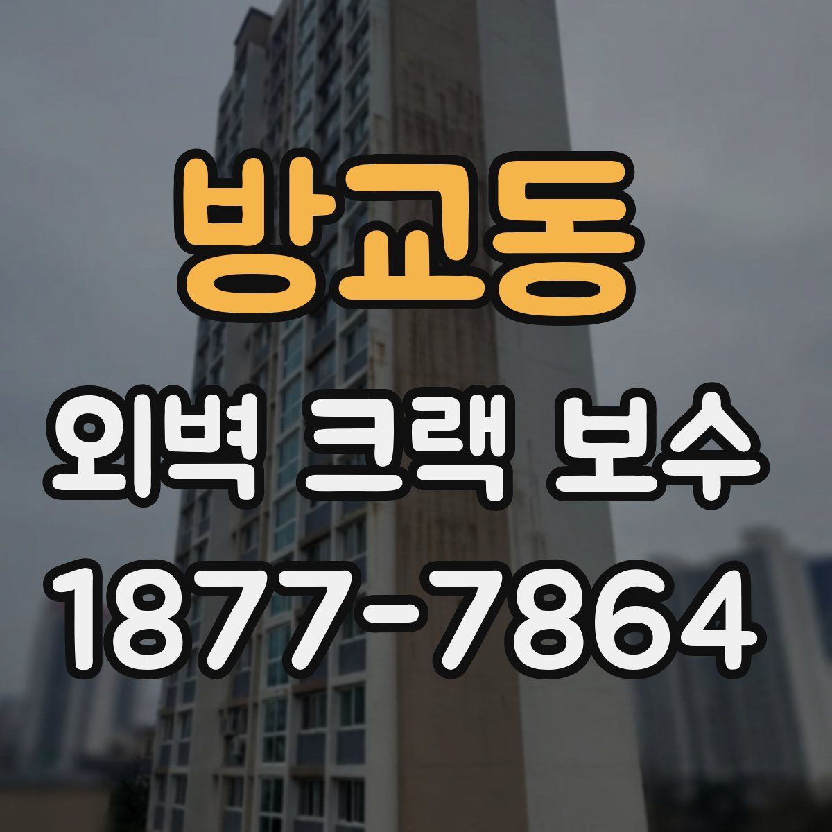 방교동 외벽 크랙 보수